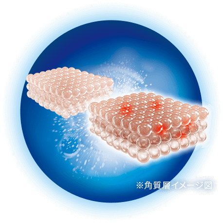 ※角質層イメージ