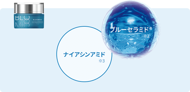 ブルーセラミド　ナイアシナミド