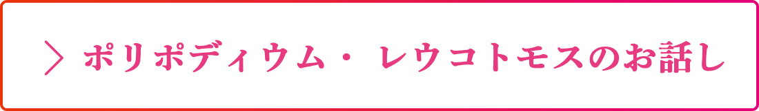 ポリポディウム・ レウコトモスのお話し
