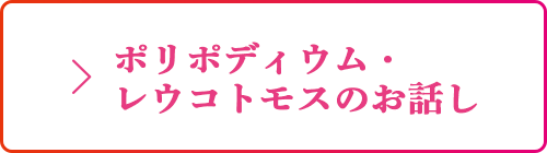 ポリポディウム・ レウコトモスのお話し