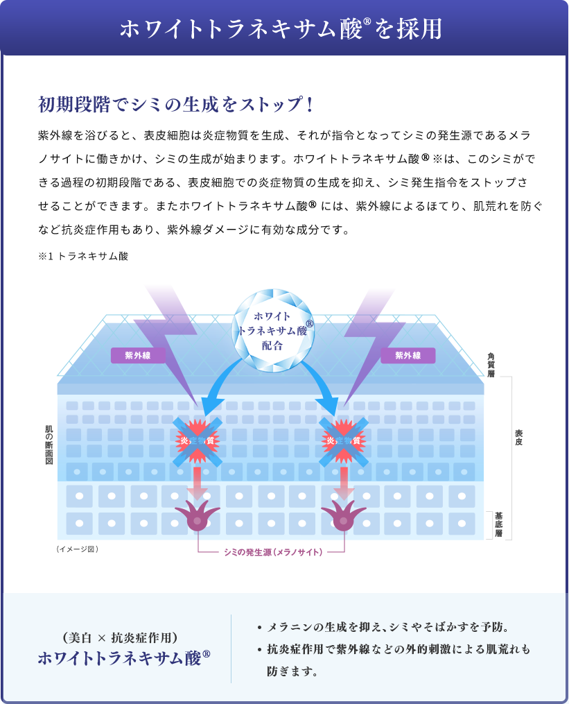 ホワイトトラネキサム酸™を採用 初期段階でシミの生成をストップ！ 紫外線を浴びると、表皮細胞は炎症物質を生成、それが指令となってシミの発生源であるメラノサイトに働きかけ、シミの生成が始まります。ホワイトトラネキサム酸※は、このシミができる過程の初期段階である、表皮細胞での炎症物質の生成を抑え、シミ発生指令をストップさせることができます。またホワイトトラネキサム酸には、紫外線によるほてり、肌荒れを防ぐなど抗炎症作用もあり、紫外線ダメージに有効な成分です。 ※1 トラネキサム酸 （美白×抗炎症作用） ホワイトトラネキサム酸 メラニンの生成を抑え、シミやそばかすを予防。抗炎症作用で紫外線などの外的刺激による肌荒れも防ぎます。