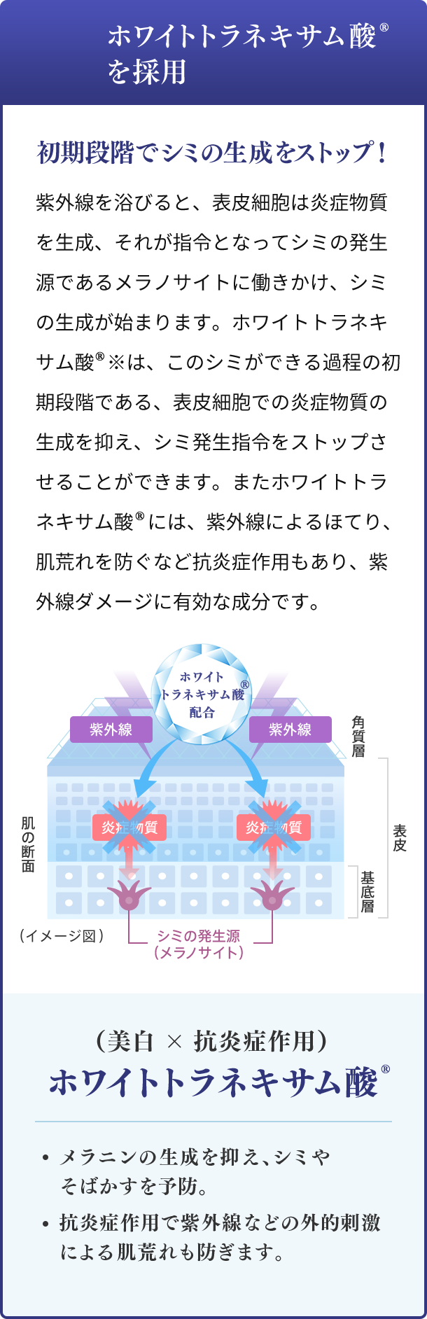 ホワイトトラネキサム酸™を採用 初期段階でシミの生成をストップ！ 紫外線を浴びると、表皮細胞は炎症物質を生成、それが指令となってシミの発生源であるメラノサイトに働きかけ、シミの生成が始まります。ホワイトトラネキサム酸※は、このシミができる過程の初期段階である、表皮細胞での炎症物質の生成を抑え、シミ発生指令をストップさせることができます。またホワイトトラネキサム酸には、紫外線によるほてり、肌荒れを防ぐなど抗炎症作用もあり、紫外線ダメージに有効な成分です。 ※1 トラネキサム酸 （美白×抗炎症作用） ホワイトトラネキサム酸 メラニンの生成を抑え、シミやそばかすを予防。抗炎症作用で紫外線などの外的刺激による肌荒れも防ぎます。