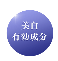 美白有効成分