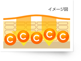 イメージ図